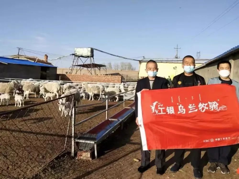 1652931333263302.jpg 1.jpg